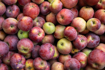 Red apples on the counter of the farmers market. Natural products, seasonal fruits, local food