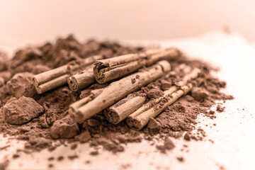 Cinnamon sticks and Cocoa powder with pressed lumps of mocha mousse color 2025, soft brown, coffee color
