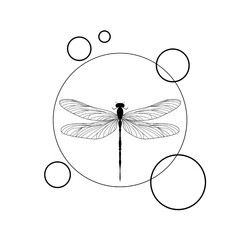 drawing of a dragonfly with circles. Line art dragonfly vector illustration. 