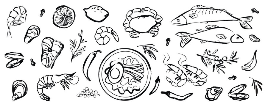 Brush Line Seafood Drawing. Vector Sketch. Hand drawn seafood set. Chalk drawing. Japanese cuisine. Collection of vector food illustrations. Black Brush Seafood Illustration. 