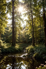 Obraz premium morning in the woods