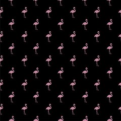 Seamless pattern with flamingo isolated on black background