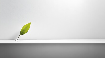 Single Zen-Inspired Leaf on White Wall