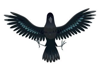 Raven. Silhouette Representing Bird Specie Captured in Moment of Flight and Resting