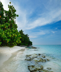 White sand sea beach of paradise island for tropical vacation, tourism and relax. Sunny calm summer day panorama with empty sandy beach and trees, turquoise sea water waves, blue sky with clouds
