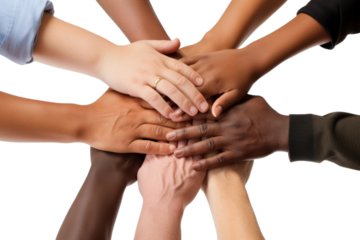 PNG Adult hand togetherness cooperation.