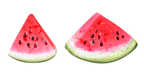 Sliced ​​watermelon wedges. Vector watercolor illustration of berries and fruits