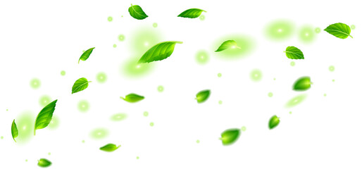 Green Leaves Fall