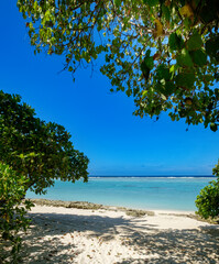 Tropical beach with ocean or sea waves and rocks in white sand, hot sunny day in paradise. Beautiful scenic landscape for vacation relax and leisure with turquoise water, green plants and tree