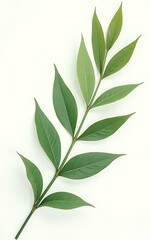 Naklejka premium The image of exotic tropical leaves set against a clean white background evokes a sense of natural serenity and harmony._00002_