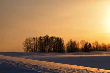 冬の夕陽を反射する丘