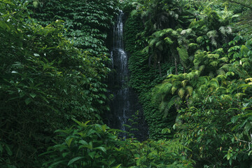 kleiner Wasserfall Bali