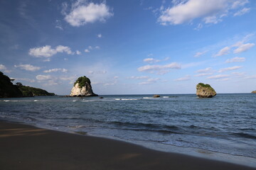 晴れた日の海辺の景色