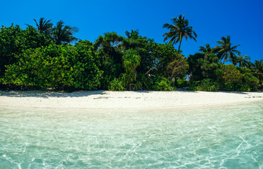 Tropical sea or ocean beach with turquoise lagoon water and white sand, dream paradise scenery. Exotic coast resort scenery with coconut palm trees and plants, scenic sandy beach for vacation