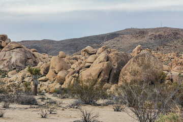 A vast desert landscape in Joshua Tree National Park, featuring rugged rocks and sparse vegetation