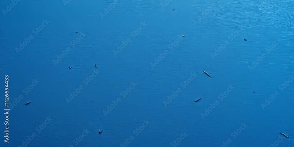 Poster blue paper texture provides a rich and vibrant surface background that enhances visual appeal. this 