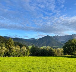 Grüne Wiese vor Bergpanorama, bei blauem Himmel mit Wolken und Baum bei Abendsonne