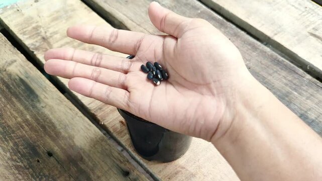 An Asian man puts long bean seeds into a pot filled with cocopeat soil.