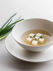 A minimalist bowl of clear soup with tofu cubes and green onions, showcasing elegant presentation.