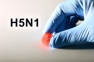 Virus Sample for H5N1 (Avian Influenza virus) test, avian influenza virus (AIV), avian flu or bird flu.