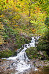 Ginzan onsen, Yamagata, Japan, Serene waterfall flowing through autumn foliage.