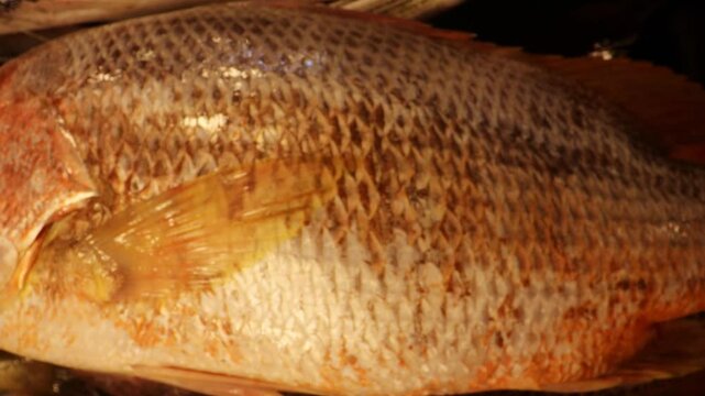 Close-up of stalls filled with raw fishes at the seafood market. Live fish in ice. 

