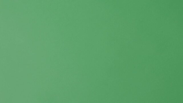 Feather movement on a green screen. Feathers moving float and fly in front of the camera. Green screen chroma key technique for use in video or film production. White birdwing against green background