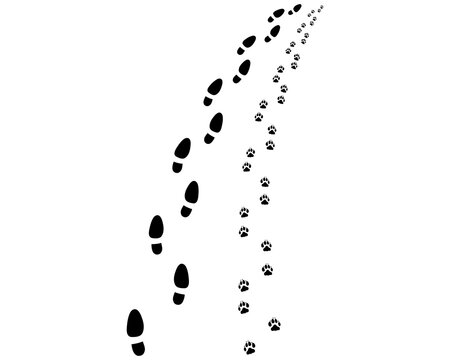 Footprints of man and dog , turn right or left