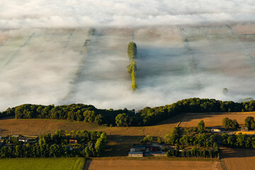Brume en bord de Seine