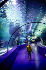 Child delightedly gazing at fish swimming in a big oceanarium.