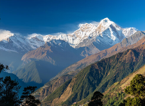 Nanda Devi National Park: A High-altitude Sanctuary of Snow Leopards, Himalayan Giants, and Himalayan Beauty
