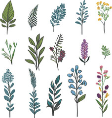 Wild flowers vector collection herbs 6