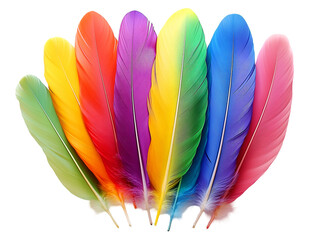 Vibrant colorful feathers arranged in rainbow spectrum, symbolizing creativity, freedom, and artistic expression on a white background
