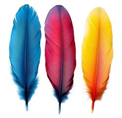 Colorful feathers in shades of blue, red, and yellow against a white background, symbolizing freedom, flight, and artistic expression