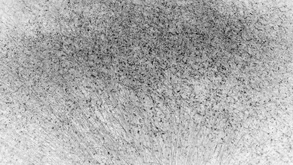 Abstract black and white shapes and geometry of Muhly Grass Flowers in silhouette, creative monochromatic nature backgrounds.