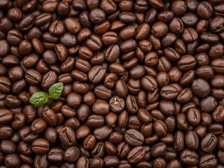 Fototapeta premium Close up image of coffee beans with one small bean in the center, brown, coffee, small