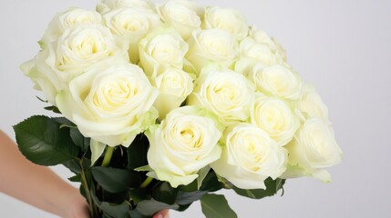 Fototapeta premium woman's hand holding bouquet of white roses on white background 