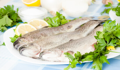Lemon, parsley, fish and onion lying on the plate
