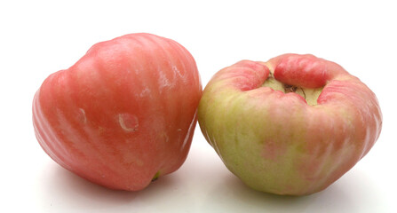 Fresh lotus mist was placed on the white background - stock photo
