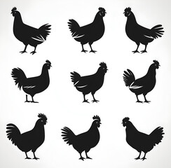 set of chicken silhouettes on white