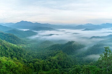 Misty Mountain Valley: A Breathtaking View of Nature's Majesty