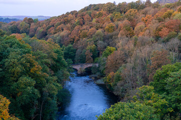 Small stone built bridge crossing River Dee amongst trees in woodland