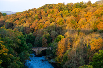 Small stone built bridge crossing River Dee amongst trees in woodland