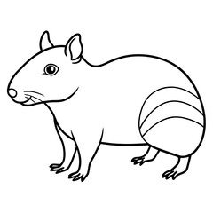 squirrel on a branch