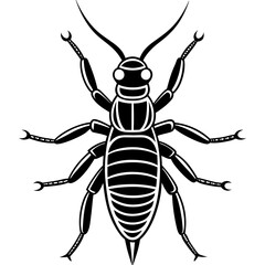 silhouette of a beetle isolated on white
