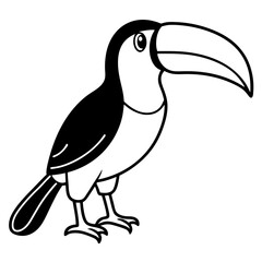 toucan bird cartoon