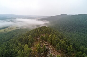 Misty Mountain Landscape: A Breathtaking Aerial View of a Pine Forest
