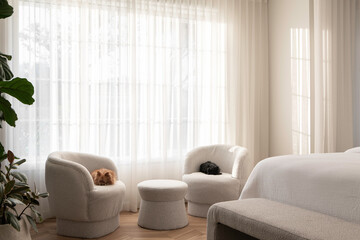 Beautiful interior design bedroom with natural light and dogs sleeping on chairs. Soft light flows through the curtains. 