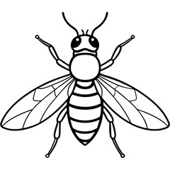 illustration of bee