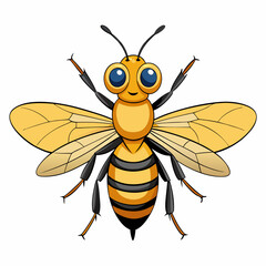 bee on white background